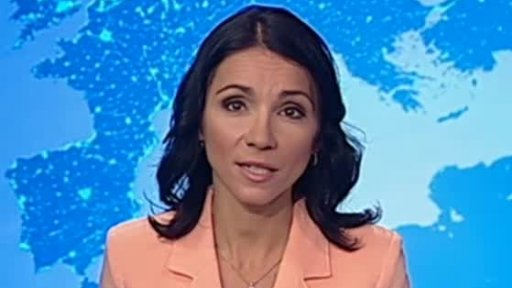 Zpravodajský servis