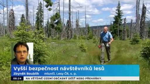 Vyšší bezpečnost návštěvníků lesů