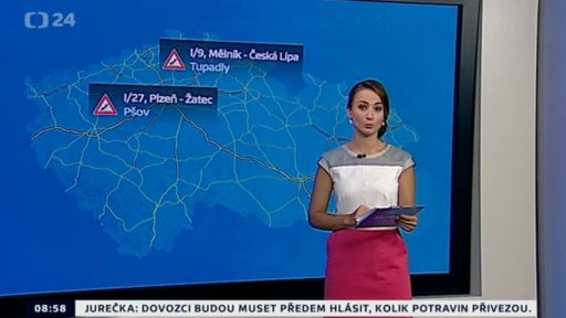 Zpravodajský servis