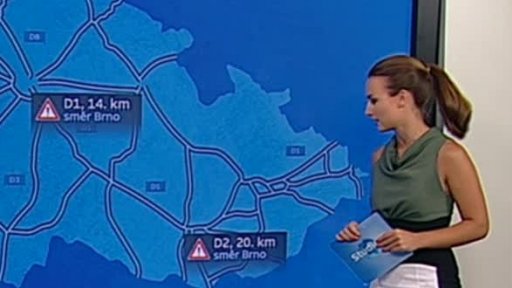 Zpravodajský servis