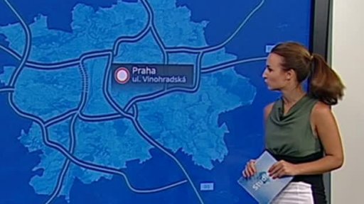 Zpravodajský servis