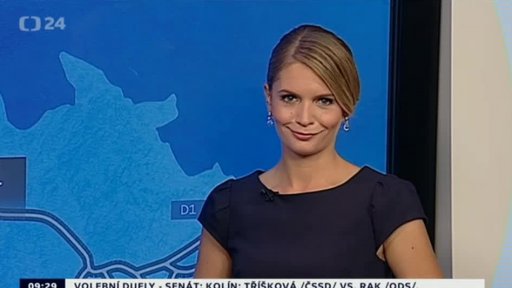 Zpravodajský servis