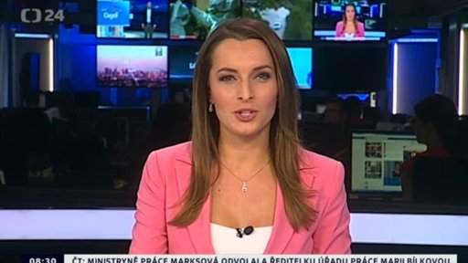 Zpravodajský servis