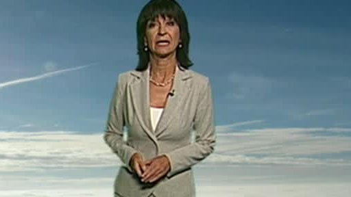 Zpravodajský servis