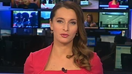 Zpravodajský servis