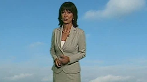 Zpravodajský servis