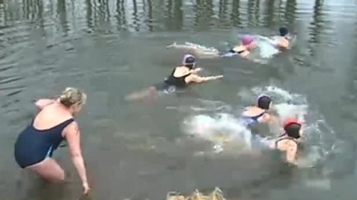 Český pohár zimního plavání