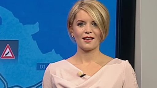 Zpravodajský servis