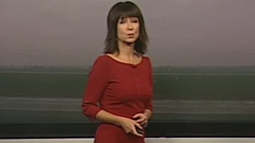 Zpravodajský servis