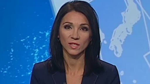 Zpravodajský servis