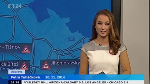 Zpravodajský servis