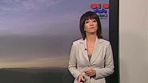 Zpravodajský servis