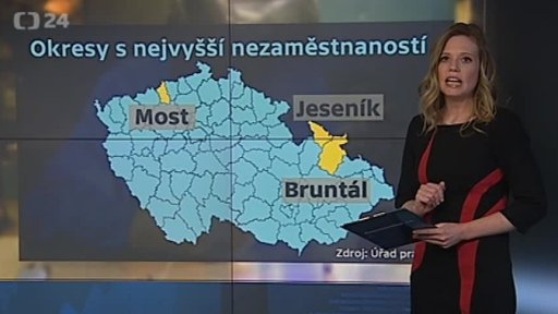 Míra nezaměstnanosti