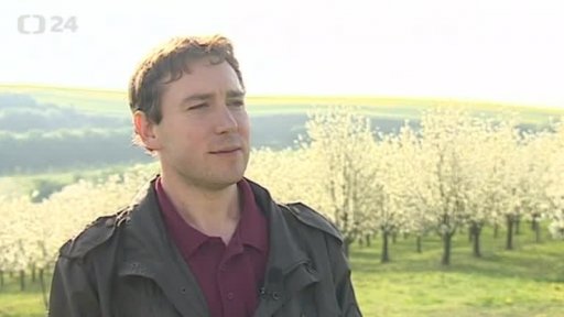 Včelstva ničí včelí mor