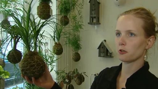 Větší zájem o tuzemské květiny