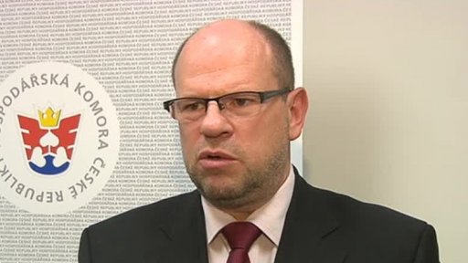 Kritika ekonomických sankcí vůči Rusku