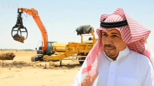 Saúdská Arábie: ohrožená sklizeň datlí