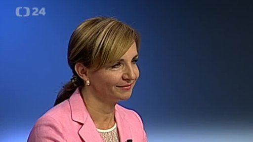 Platové rozdíly v Česku