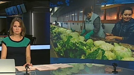 Zelináři: dumpingová zelenina je už v ČR