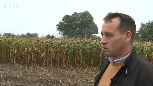 Podmáčená půda znemožňuje sklizeň