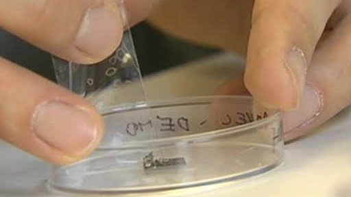 Cesta k průmyslové výrobě grafenu