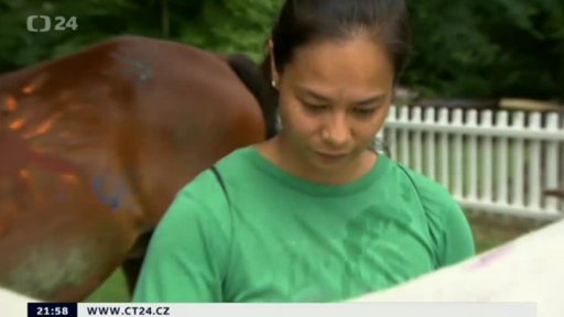 Centrum pro léčbu veteránek