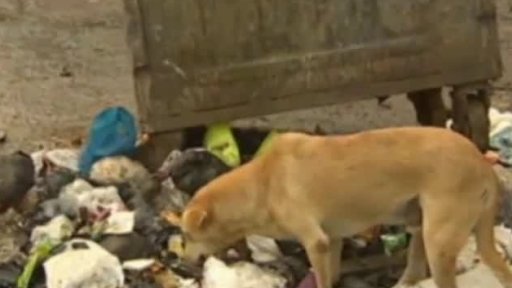 Indie se snaží vyčistit ulice