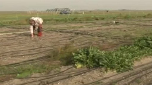 Nizozemci zalévají slanou vodou