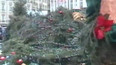 Pád vánočního stromu (2003)