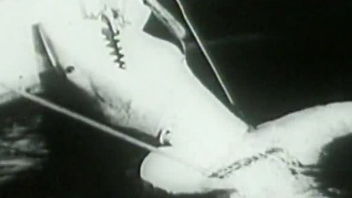 Lov žraloků (1958)