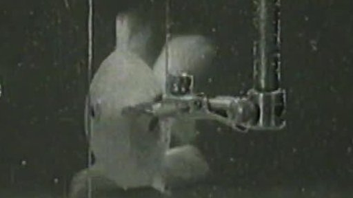 Testování inteligence zvířat (1967)