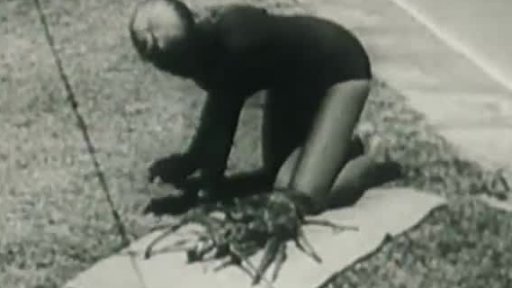 Mořský krab (1965)