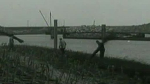 Holanďané budují ostrov (1966)