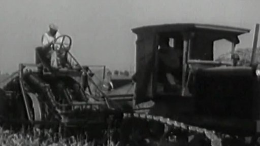 Úroda cukrovky (1953)