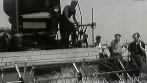 Deště, bouřky, sklizeň a vysoká mechanizace (1954)