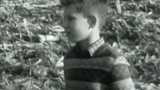 Pionýři hospodaří na vlastní půdě (1960)