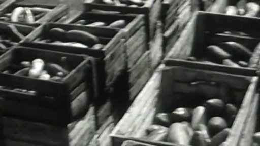 Zužitkování okurek (1966)