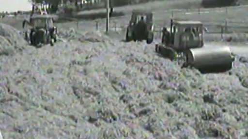 Nové způsoby uchování pícnin (1970)