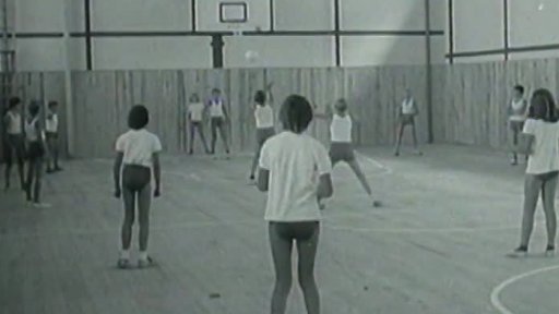 Nová tachovská škola (1974)