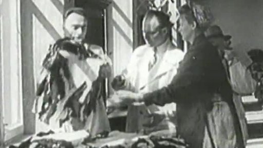 Výstava kožešin (1947)