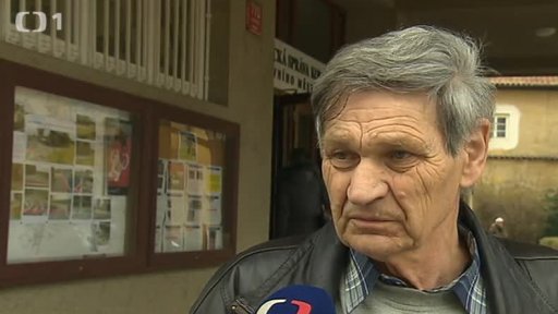 Pylony Čechova mostu