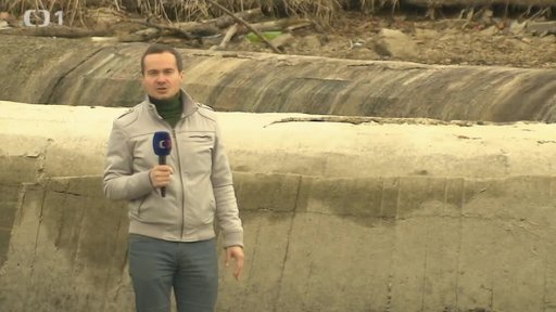 Vypuštěný Šeberák