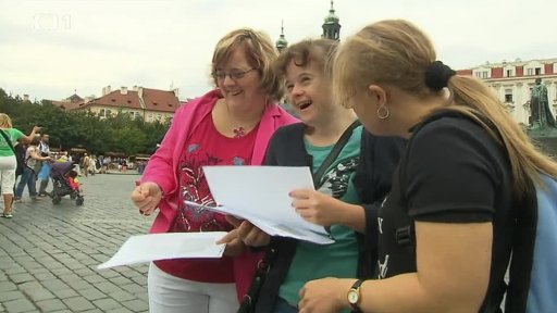 Průvodce pro mentálně postižené