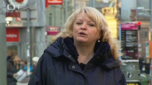 Nákup na internetu I