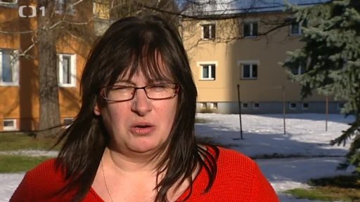 Sociální dávky II