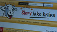 Slevy jako kráva