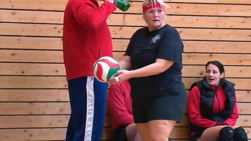 Amatérská volejbalová liga