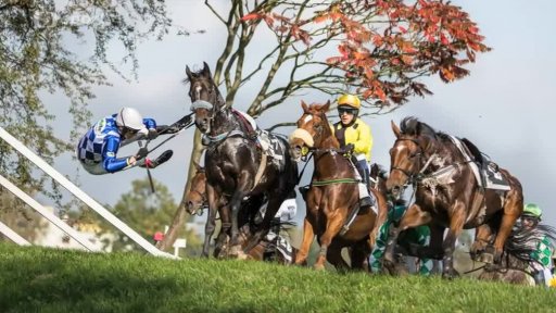 České olympijské novinky