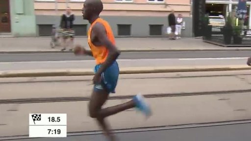 Závody a akce + termínovka