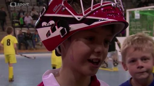 Český pozemák na vzestupu